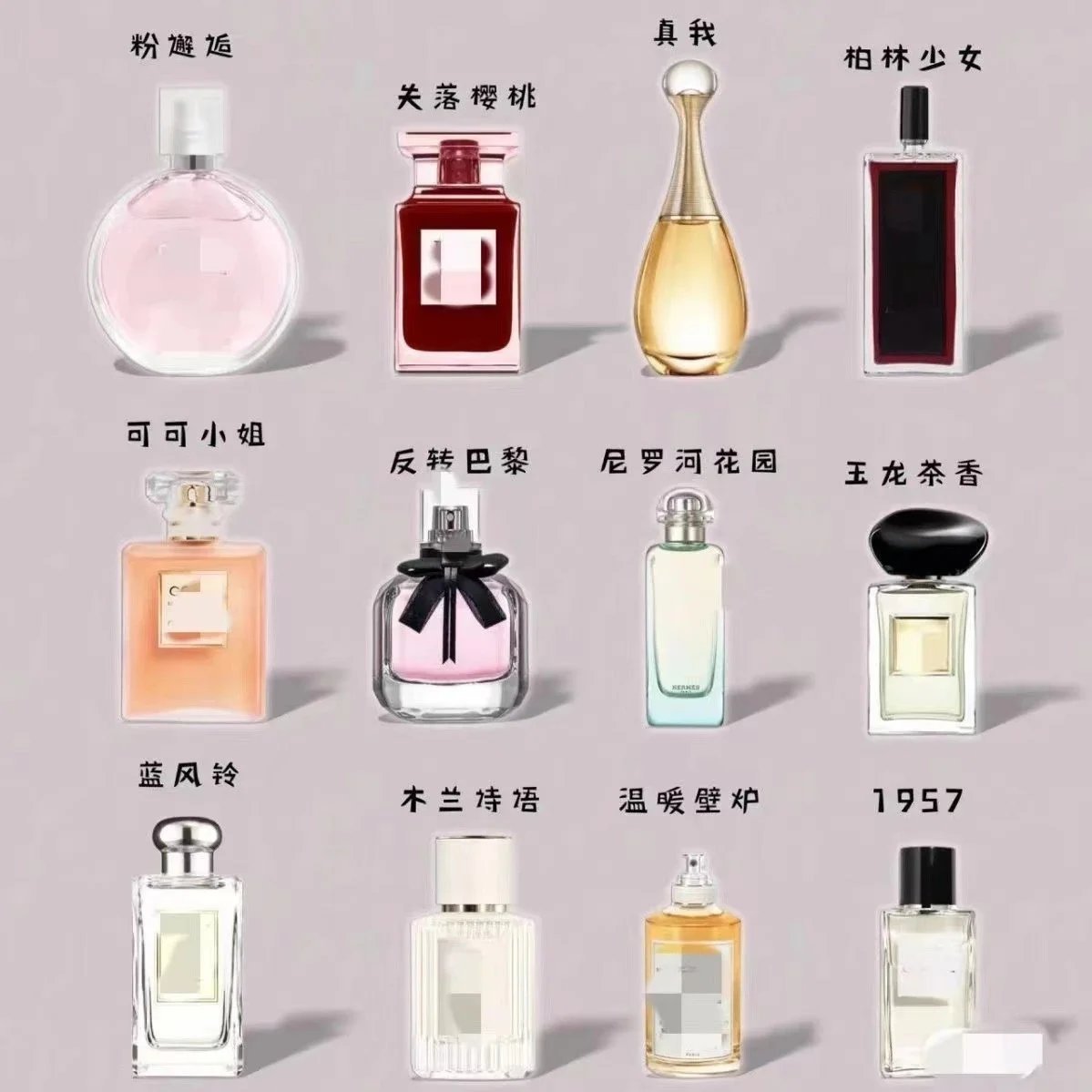 Design Assorted Luxury Fragrance Collection Perfume Set Multicolor